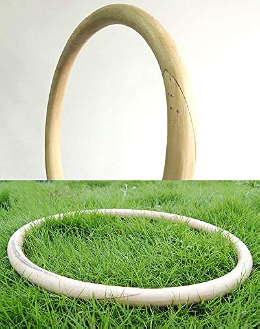 CHuangQi Wing Chun Rattan Ring (14-Inch), Tsun Siu Lum Kung Fu Ring, Basic Martial Arts Training Equipment