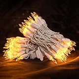 Christmas Lights 100 Count Mini Clear Lights 22.7ft White Wire Christmas String Lights Set for Outdoor Indoor Christmas Decorations Wedding Decorations Valentines Day Decor,UL Certified (22.7feet)