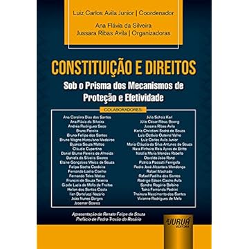 Capa do livro Constituição e Direitos - Sob o Prisma dos Mecanismos de Proteção e Efetividade