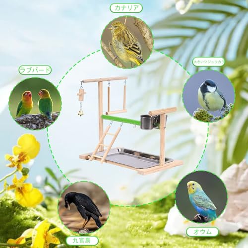 Image of Bird Playground, Natural Wood Bird Perch Stand with Removable Tray and 2 Stainless Steel Feeder Cups, Parrot Playstand Bird Cage Toys for Conure Parakeet Cockatiel Parrot (C)