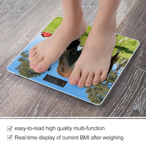 Báscula digital para cuerpo Farm Animals, 180 kg miniatura 5