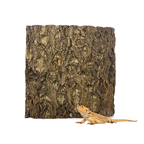 Melamine Board Bearded Dragon Enclosure For Sale 2024 Vet Ranch We Love Pets