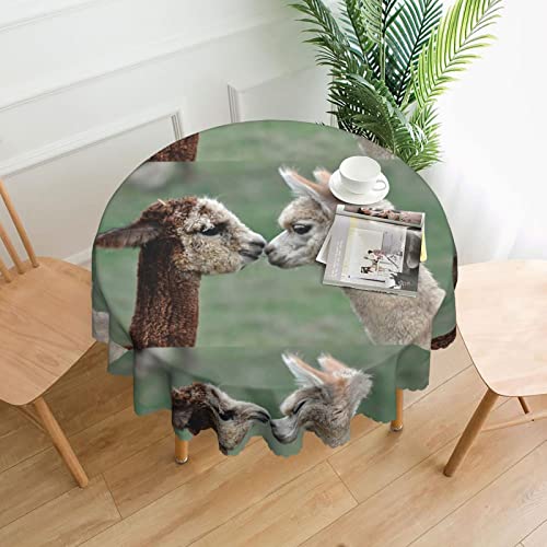 Koolr Funny Alpaca Print Round Tablecloth Waterproof Decorative Table Cover For Kitchen Dining Wedding Partie (60 In) #TOP1