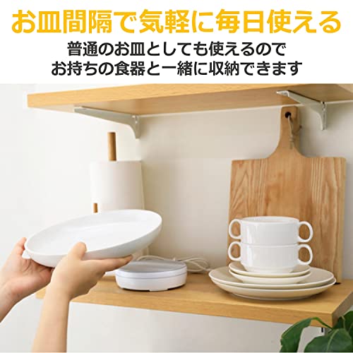 CCP(シーシーピー)『ヒーター付き保温プレートおんさら(ZHM-DW71)』