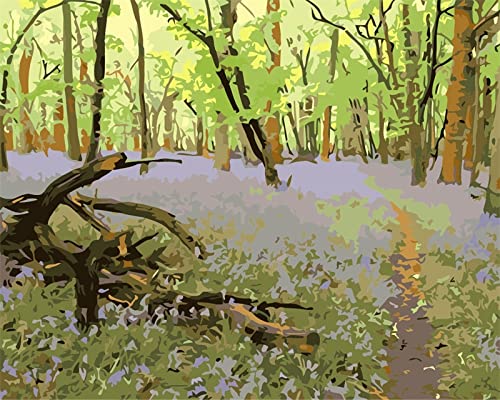 Peinture au diamant 5D contre le stress quotidien kit fleurs forêt relaxation maison