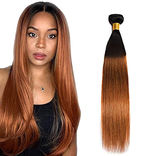 WunnSvm Straight Ombre Hair Bundles 1b/30 Ombre Brown Indian Hair Two Tone 100% Unprocessed Virgin Human Hair 1 Bundles Cheap Ombre Bundles 1b/30 Colored(28 Inch)