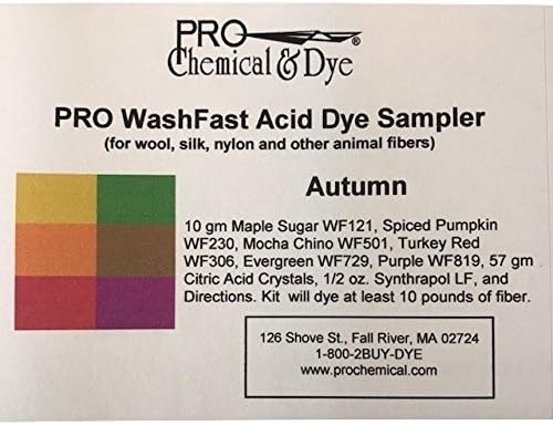 WashFast Autumn Acid Dye Sampler