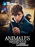 Animales fantásticos y dónde encontrarlos