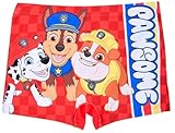 PAW PATROL