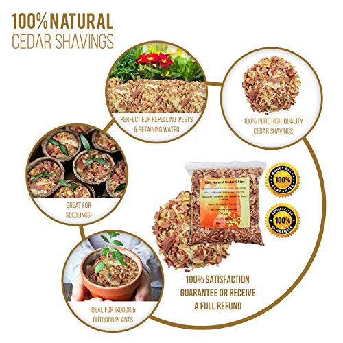 100% Natural Cedar Shavings | Mulch | Great for Outdoors or Indoor Potted Plants (8 Quarts)