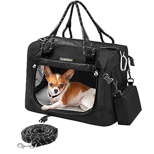 Feandrea Airline Approved Small Dog Carrier, Collapsible Pet Travel Carrier, Size S, with Metal Frame, Leash, Pocket, for Cats and Small Dogs up to 13 lb, 17 x 12 x 12 Inches, Classic Black UPDC004B01