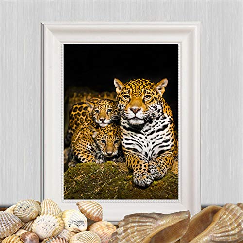 Dittelle Animal Lovely Panther Jaguar pintura em tela Leopard Wall Pictures para crianças Room Wall Art Posters Prints Home Decor 30 x 50 cm sem moldura
