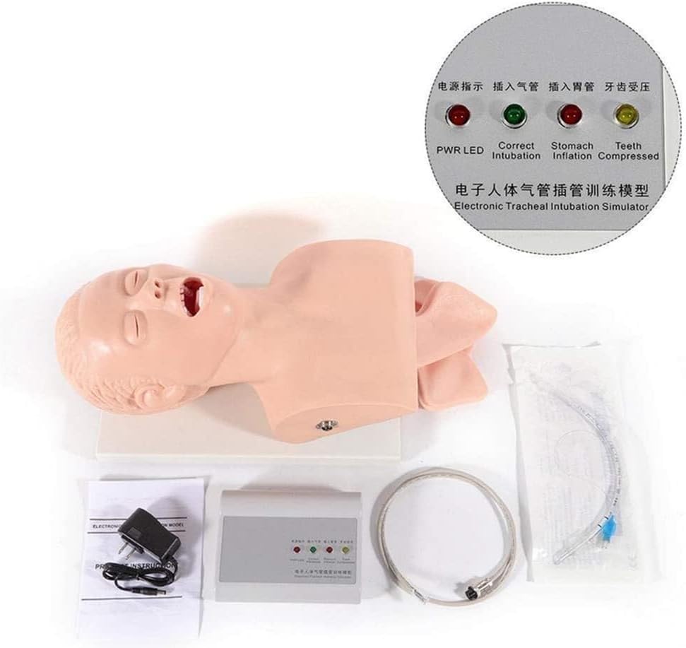 Advanced Adult Oral and Nasal Intubation Manikin, Training Learning Teaching Model, Professional Airway Management Trainer PVC Demonstration