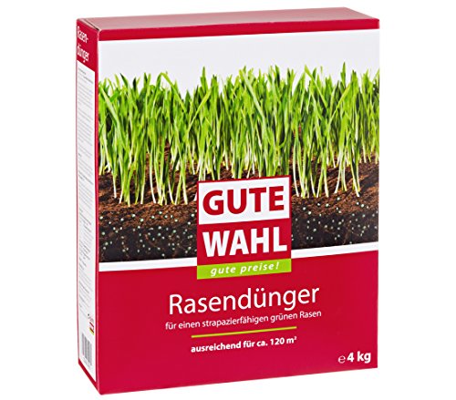 Preisvergleich Produktbild Dehner Gute Wahl Rasendünger, 4 kg, für ca. 120 qm