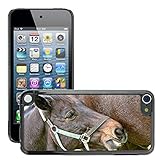 Facile da installare e rimuovere