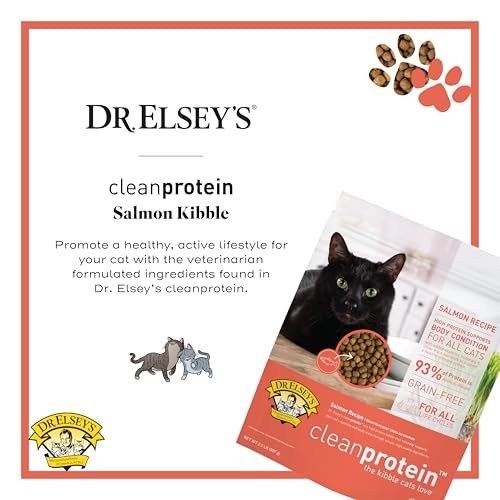 Image of Dr. Elsey'S Cleanprotein Salmon Formula Dry Cat Food, 2 Pound (Pack of 1)