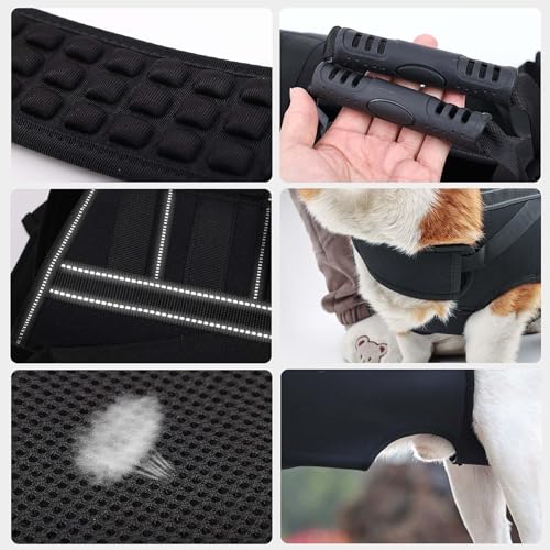 Eslingas de transporte para perros y arnés de elevación BodySupport 7