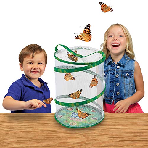 Insect Lore Butterfly Garden Habitat, Green #TOP3