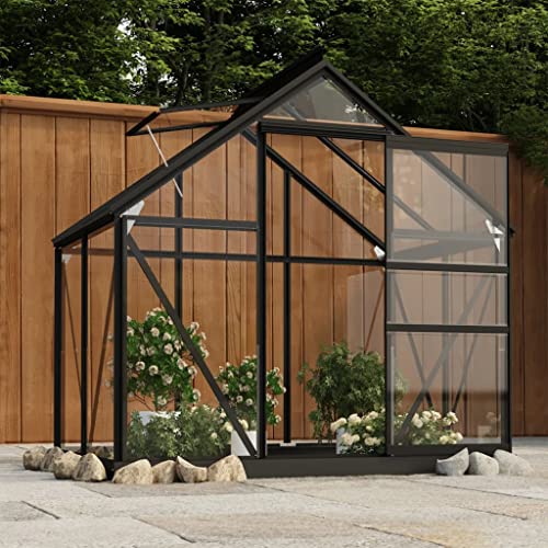 YEZIYIYFOB Glas Gewächshaus Anthrazit 155x103x191 cm Aluminium...