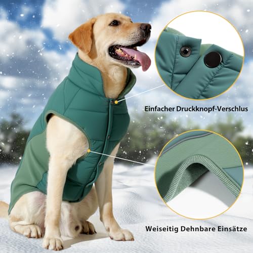 Poiinvc Winddichter Hundemantel Hundejacke mit Geschirrloch Reflektierend Warm und Wasserdicht für Hunde von S bis XXXL mit Elastischen Bündchen Ideal für Outdoor