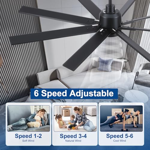 Image of Rayqueen 62 Inch Black Ceiling Fans with Lights and Remote,Includes Downrod