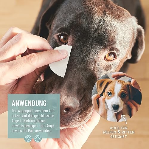 ReaVET Augenpflege Hund 100 Stück – Augenpads Hund I Sanfter Augenreiniger für Hunde, Milde & Schonende Reinigungstücher mit Augentrost, Tränenfleckentferner Hund ohne Reizen, Augen Reinigungspads