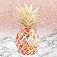 004 Colorful Pineapple