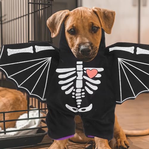 Disfraz Halloween Murciélago para Perros Talla L miniatura 5