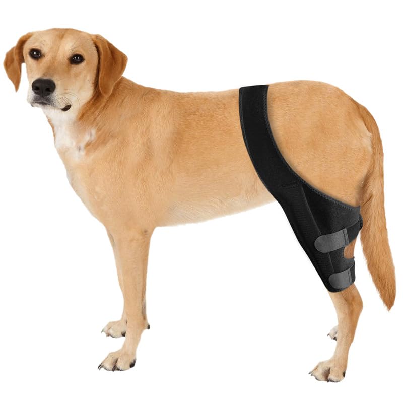 JUANWAN Dog Knee Brace Leg Braces - Dog Canine Knee Stifle Brace Wrap Dog Knee Brace for Torn ACL Hind Leg Joint Pain Muscle Sore Pet Brace Reduces Pain and Inflammation (S)