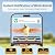 Bird Feeder with Camera, Solar Powered 2K HD Smart Bird House, 2.4G WiFi Outdoor Wild Bird Feeder, Ideal Gift for Nature Lovers for Backyard Garden