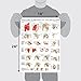 Palace Learning Muscular System & Shoulder Anatomy Poster Set - Laminated Anatomical Muscle and Shoulder Charts - 2 Poster Set
