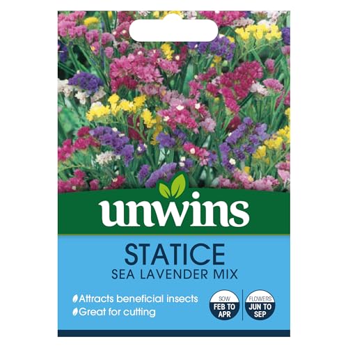 Unwins Statice Sea Lavender Mix Seeds