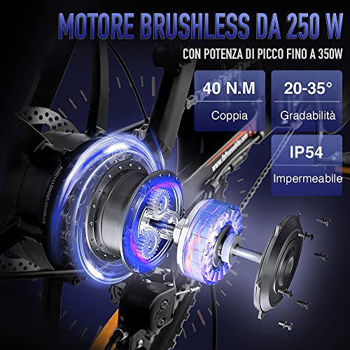 Fafrees Bici elettrica F20 20 pollici, 36V 16Ah