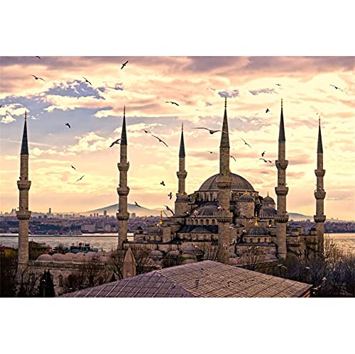 Toile de fond Hagia Sophia photo voyage paysage ciel mouette 2,1x1,5m