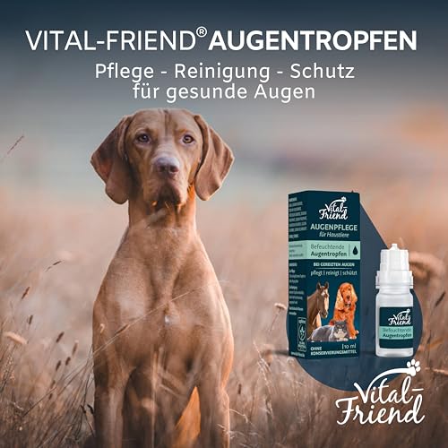 Vital-Friend Augentropfen für Hunde, Katzen und Pferde 10 ml, Augenpflege & Befeuchtung bei Entzündungen, Augenreiniger, Unterstützende Pflege bei Bindehautentzündung, konservierungsmittelfrei