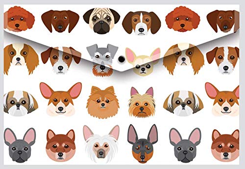 a4 Wallets Plastic Document Folders Envelope Stud Assorted Colours Pack of 5 Animals Tiger Stationery - Image 4
