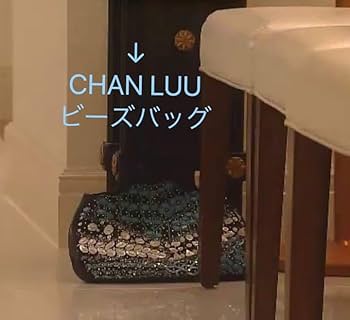 Sunny Daysさま専用ビーズバッグ Amazon.co.jp: 綾瀬はるか着用 田中みな実 CHAN LUU ビーズ