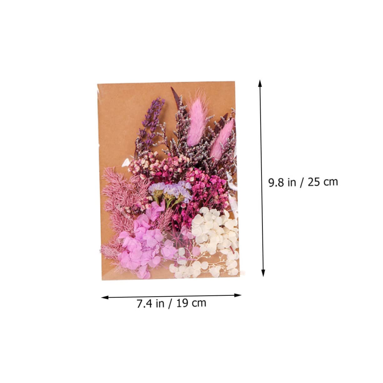 PRETYZOOM 2 Pièces 1 Fleurs séchées décoratives bouda Decoration Interieure décoration intérieure Fleur sechee gypsophile Bouquet de Fleurs séchées Plantes séchées Fleurs fraîches conservées