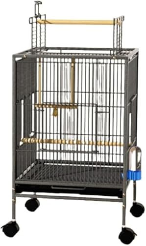 KryZaroubN^IEP[W  LX^[t Xy[X