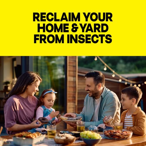Image of Raid Multi Insect Killer, Kills Ants, Roaches, Spiders and Other Insects on Contact, For Indoor and Outdoor Use, 15oz