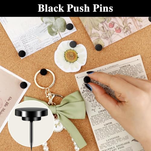 80 PCS Black Push Pins - Metal Thumb Tacks for Wall, Bulletin Board, Photo Hanging | Cork Board Tacks with Storage Box image 7