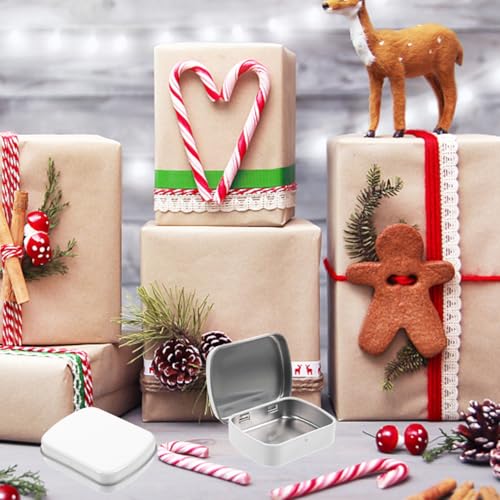 Image of LALAFINA 10Pcs Metal Rectangular Hinged Tins Mini Portable Box with Hinged Lid, Empty Storage Tins Candy Treat Boxes for Diy Use, Home Organizer