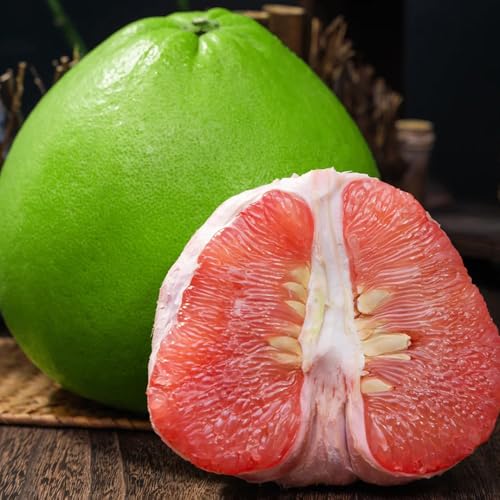 Generic Pomelo Frucht Samen 60pcs