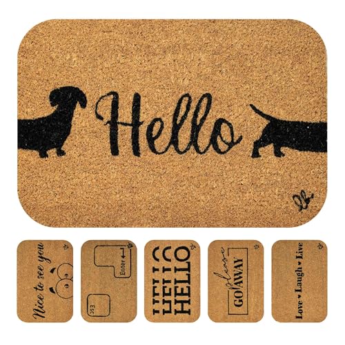 OLIVO.shop MINI MODERN 3 Zerbino con scritte, Zerbino cocco divertente, Tappeto cocco da esterno, fondo in gomma, vari disegni, 30x45 cm (DOG)
