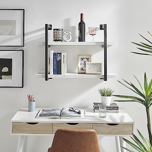 Danya B Modern 2-Tier Black Metal & White Birch Wall Shelves