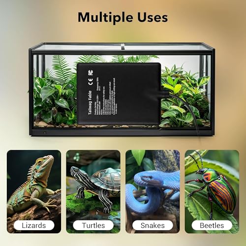 Alfombrilla térmica para reptiles 8x12 pulgadas 16W con termostato digital miniatura 5