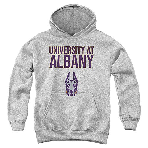 University at Albany Official Stacked Youth Kids Boy/Girls Pull-Over Hoodie Sweatshirt