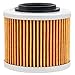 Road Passion High Performance Oil Filter Replacement for BMW G650GS 2009-2015 F650 GS ABS 652 2004-2005 G650GS Sertao 650 2012-2015 (pack of 2)