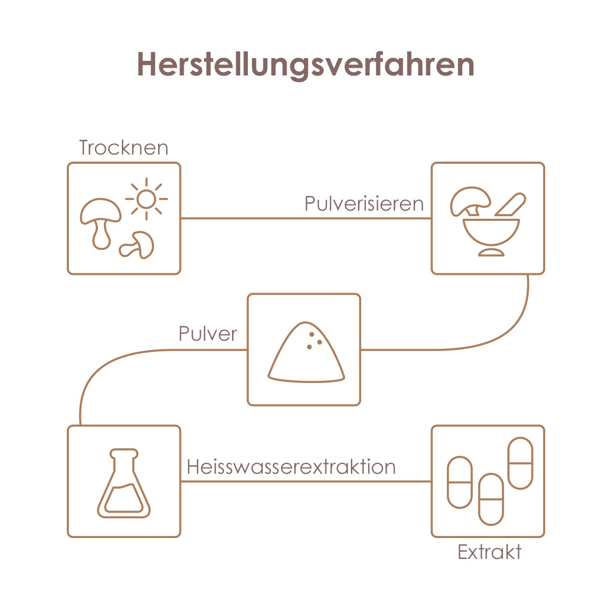 Bio Tremella Extrakt Kapseln, 240 Kapseln à 350 mg Tremella Pilz Extrakt je Kapsel. Mit Acerola Vitamin C, Vitalpilze Extrakt - 1 Dose - Nahrungsergänzungsmittel