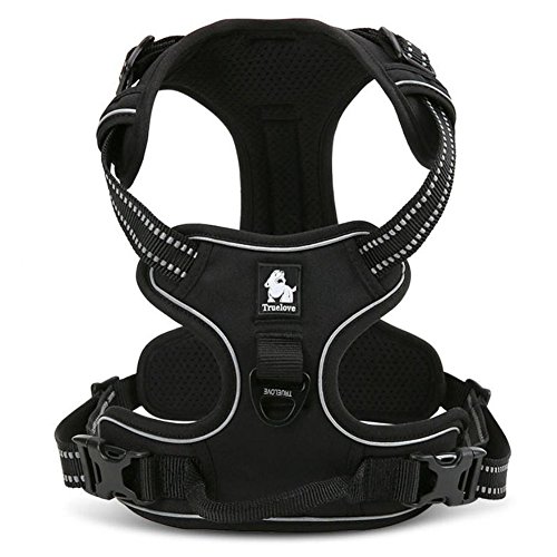 Nera cintura di Canottaggio Senza Tirare Cintura